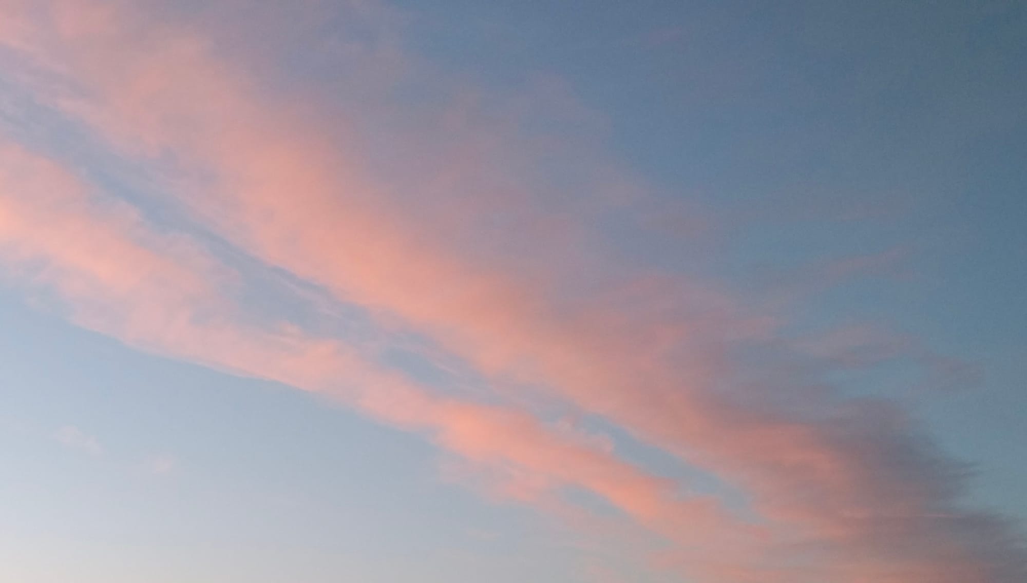 Time to speak up for our trans kin